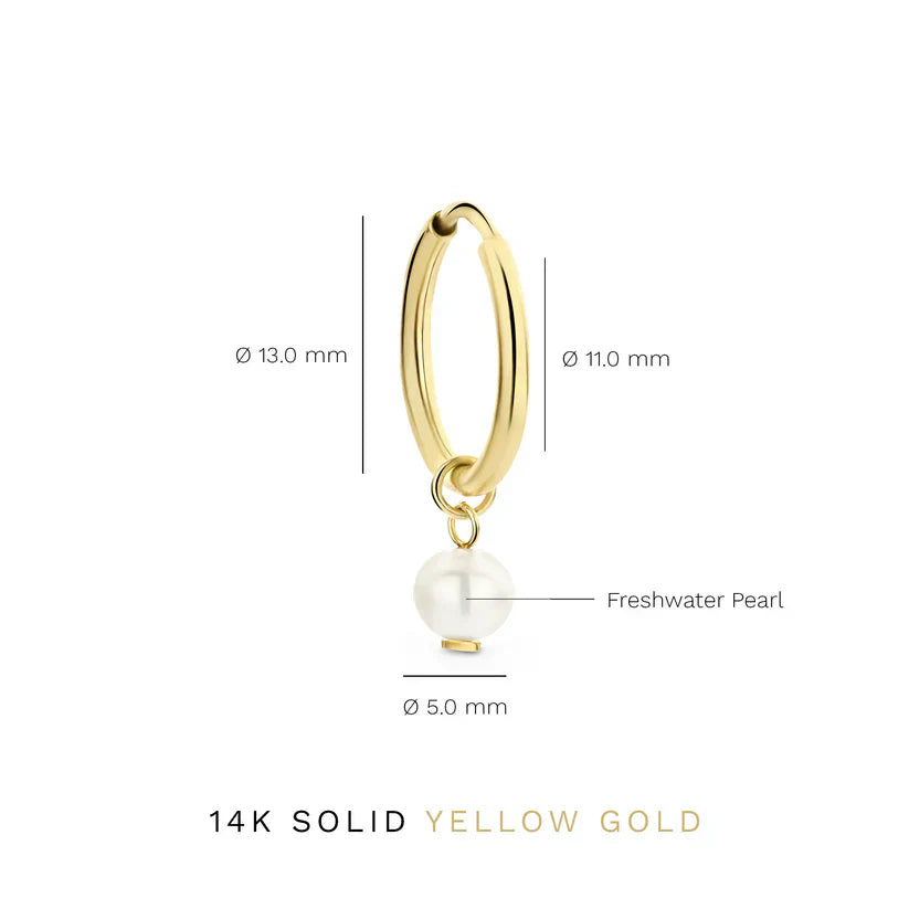 Gold Crystal Hoop Earrings